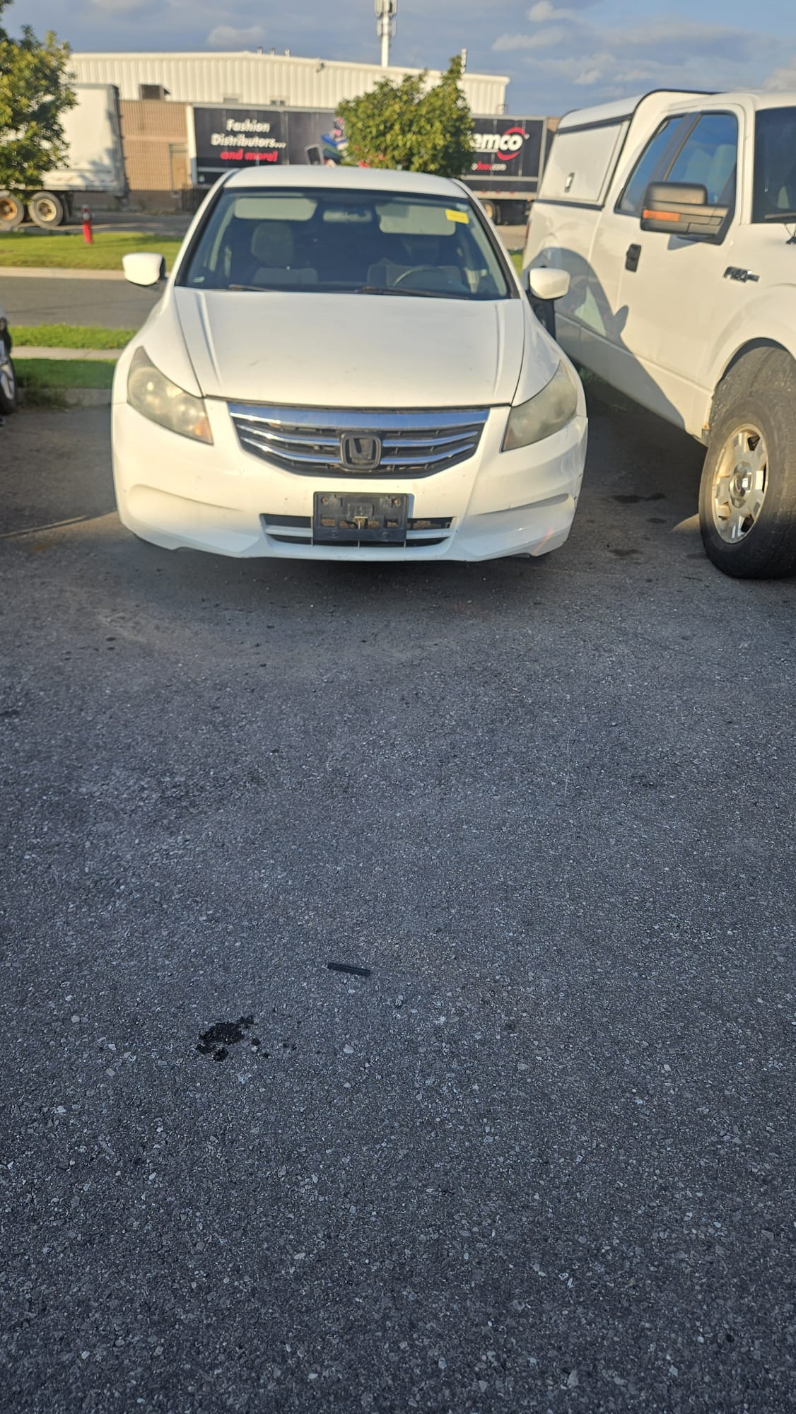 2011 Honda Accord photo 4