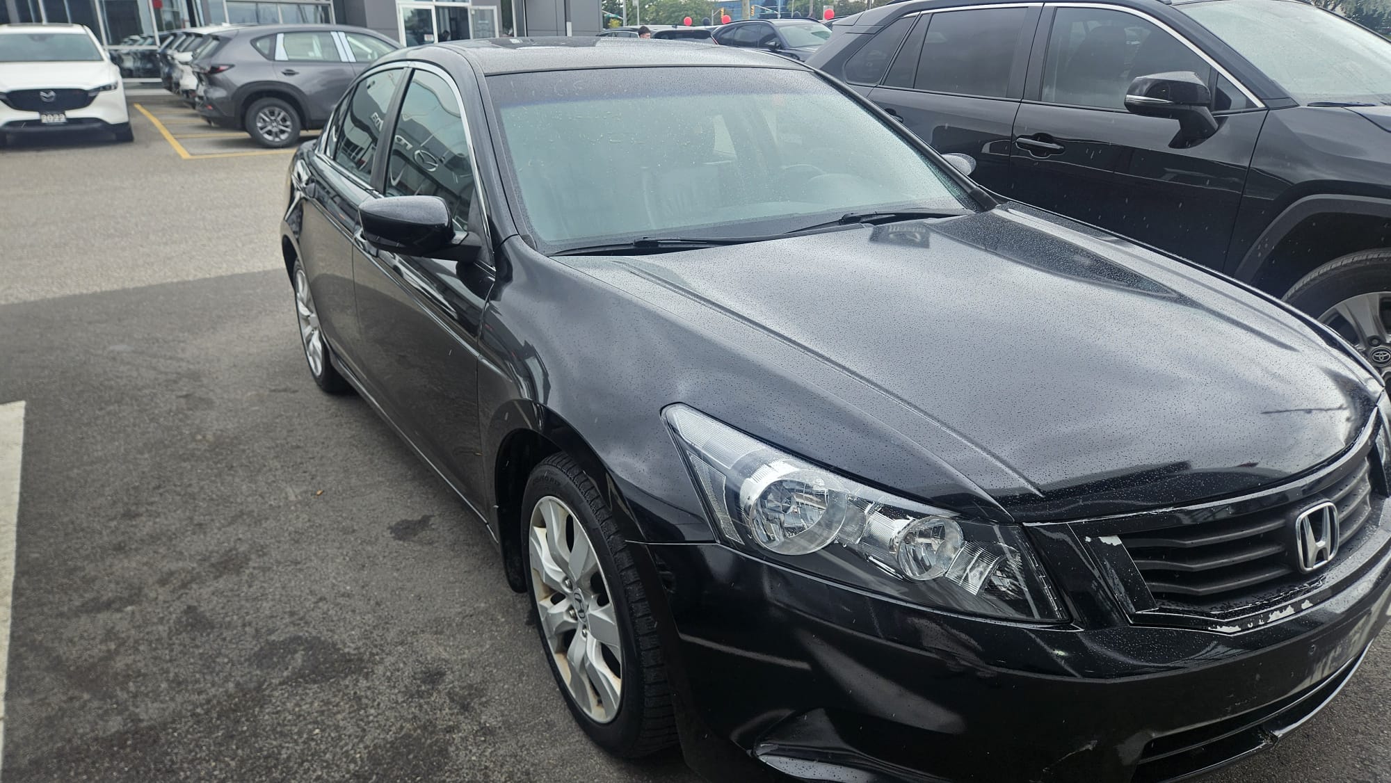 2009 Honda Accord EX-L photo 5
