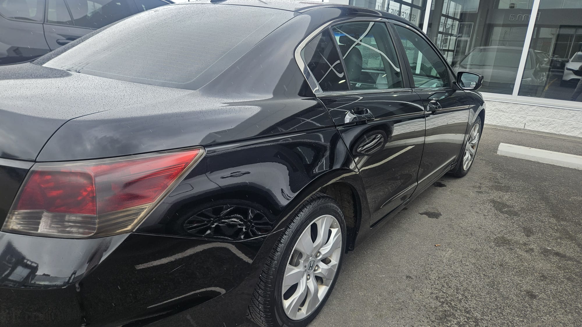 2009 Honda Accord EX-L photo 6